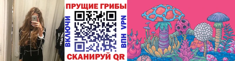 Галлюциногенные грибы Psilocybine cubensis  мориарти формула  Карасук  цены наркотик 